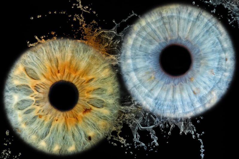 Siracusa Iris Photography Experience - Key Points