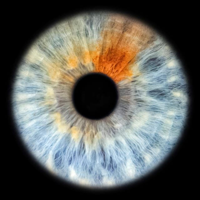 Siracusa Iris Photography Experience - The Detailed Experience: What to Expect