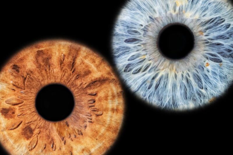 Siracusa Iris Photography Experience - Authentic Traveler Perspectives
