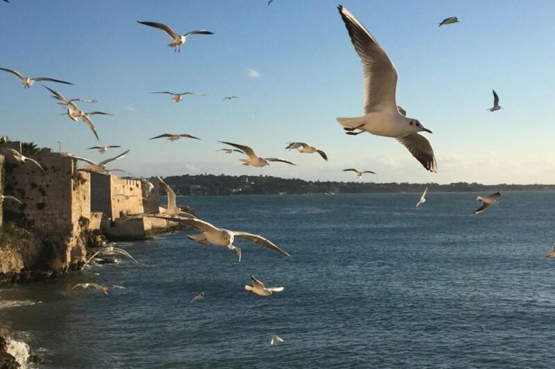 Siracusa: Ortygia Island Boat Tour with Grotto Visit - Why This Tour Is Worth It
