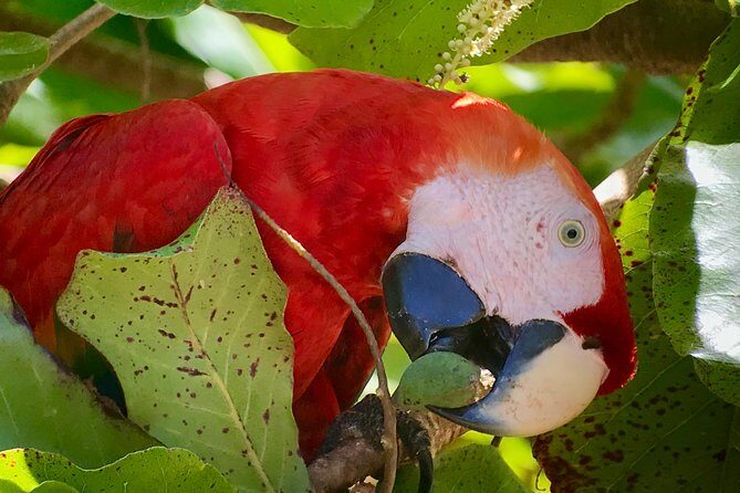 Sirena Station, Corcovado National Park Day Trip from Quepos. - A Detailed Look at the Corcovado Day Trip from Quepos