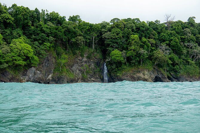 Sirena Station, Corcovado National Park Day Trip from Quepos. - The Sum Up