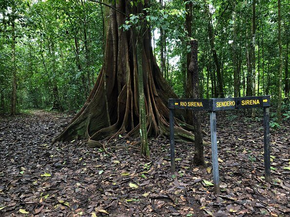 Sirena Station, Corcovado National Park Day Trip from Quepos. - FAQ