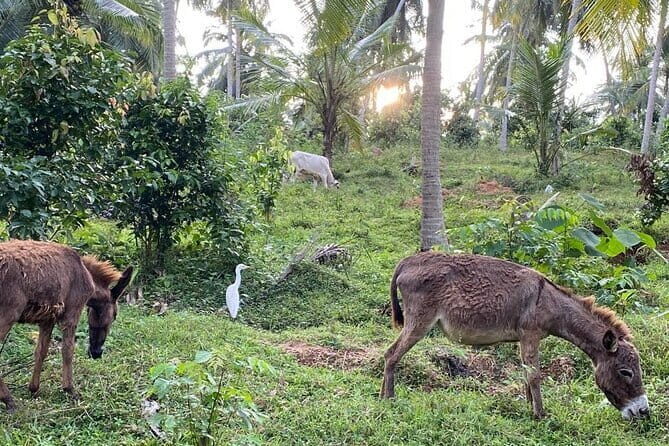 Sirin Park Eco Tour in Sri Lanka - Exploring Sirin Park Eco Tour in Sri Lanka: Nature, Culture, and Serenity