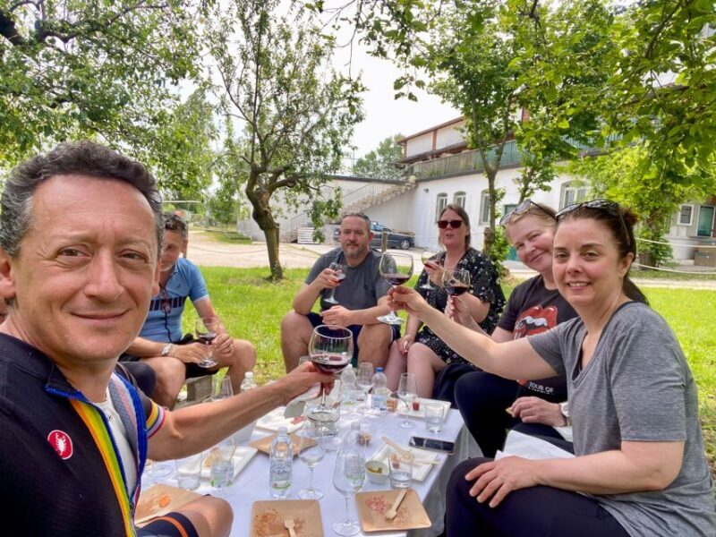 Sirmione: Vineyard Tour with Lugana Wines and Local Tastings - Discovering the Flavors of Lugana: Sirmione’s Vineyard Tour with Tastings