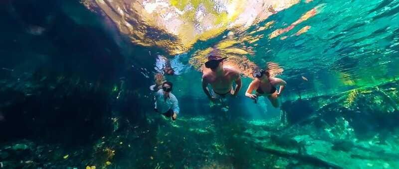 Sisal: Picnic PREMIUM en medio del mar y snorkel manantial - Final Thoughts: Who Will Love This Tour?