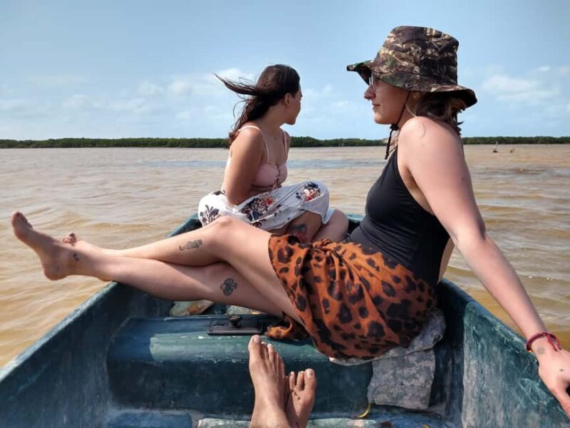 Sisal Yucatán: Flamingo Safari Tour Mangroves - Sisal Yucatán: Flamingo Safari Tour Mangroves Review