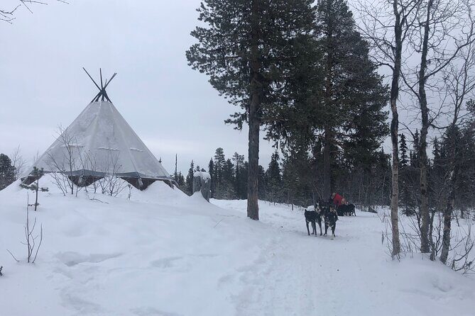 Sit Back and Relax Morning Husky Tour - Authenticity and Ethical Considerations