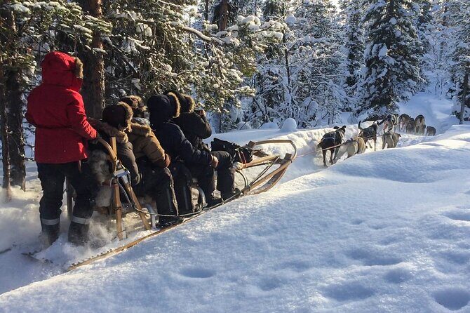 Sit Down Husky Ride Dog Sled Tour in Kiruna - Discover the Magic of a Sit Down Husky Ride Dog Sled Tour in Kiruna