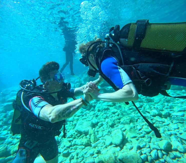 Sithonia: 1 Guided Shore Dive for Certified Divers - Who Will Love This Tour?