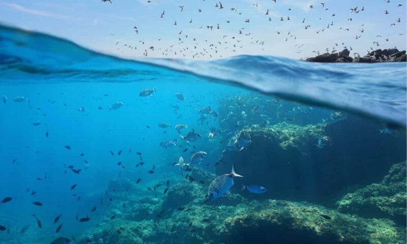 Sithonia: 1 Guided Shore Dive for Certified Divers - FAQ
