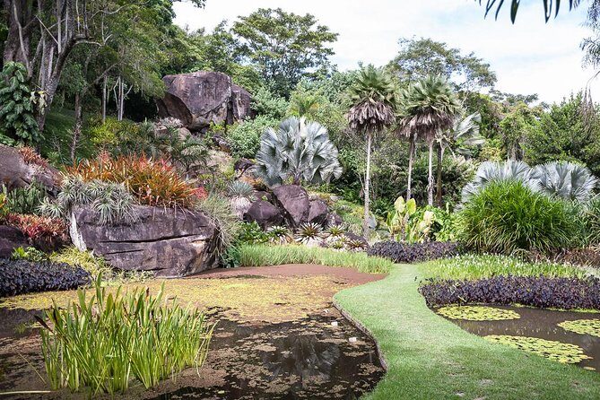 Sitio Roberto Burle Marx Guided Tour Ticket and Transfer - The Sum Up: Is This Tour Right for You?