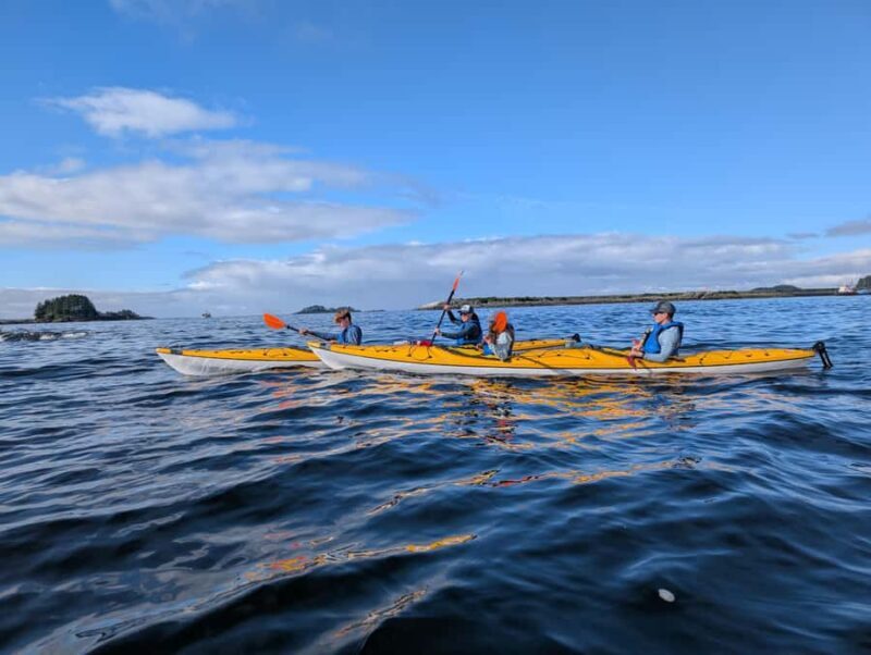 Sitka, Alaska: Island Discovery Kayak Tour - FAQ