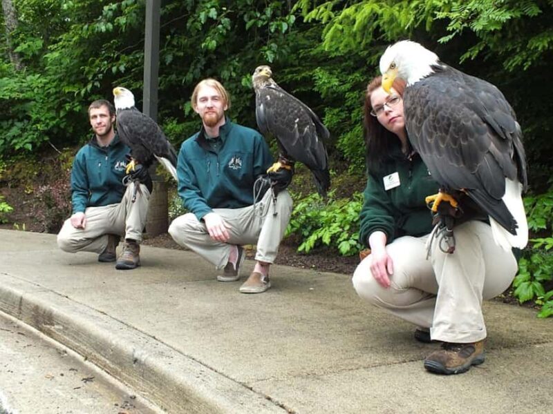 Sitka: Alaska Raptor Center Admission Ticket - Key Points