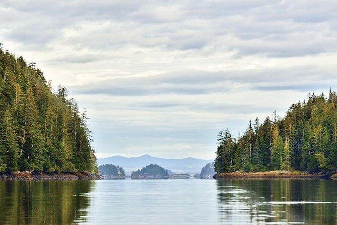 Sitka Boat and Sea Kayaking Adventure - Key Points