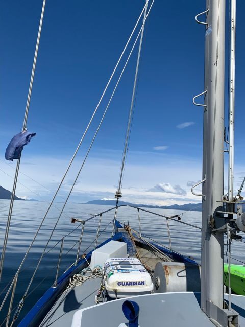 Sitka Boat Tours: whale watching, hot springs, kayaking - Exploring the Details: A Comprehensive Review