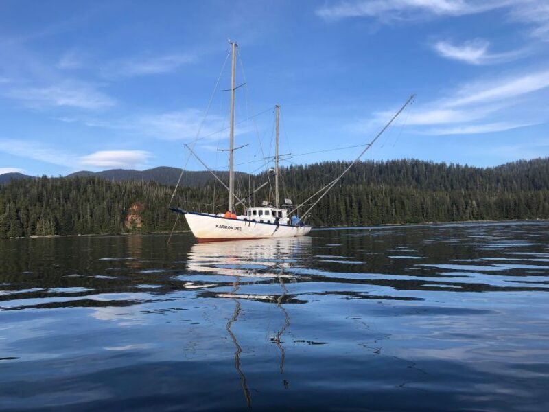 Sitka Boat Tours: whale watching, hot springs, kayaking - Final Thoughts
