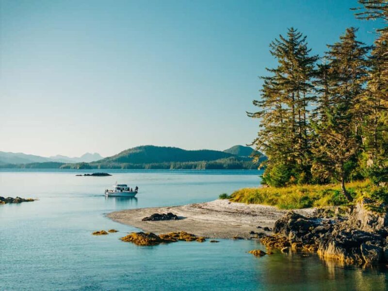 Sitka: Islands of Wonder Wildlife Adventure - Key Points