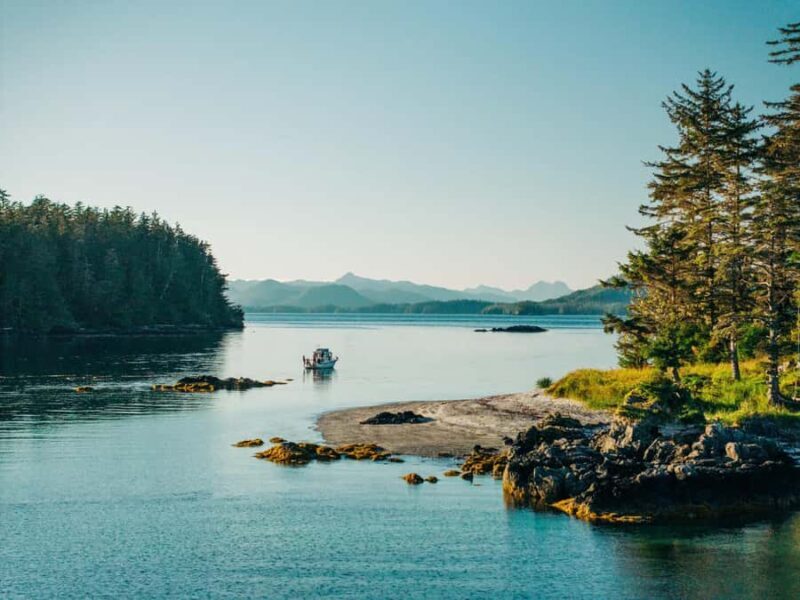 Sitka: Private Wildlife Photography Workshop by Boat - Final Thoughts: Is This Experience Worth It?