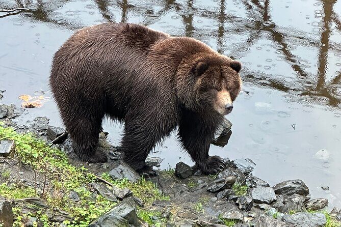 Sitka Scenic Private Tour - Exploring Sitka’s Highlights in Depth