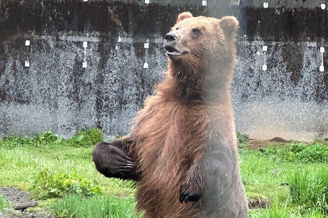 Sitka Scenic Private Tour - Japonski Island and Final Notes