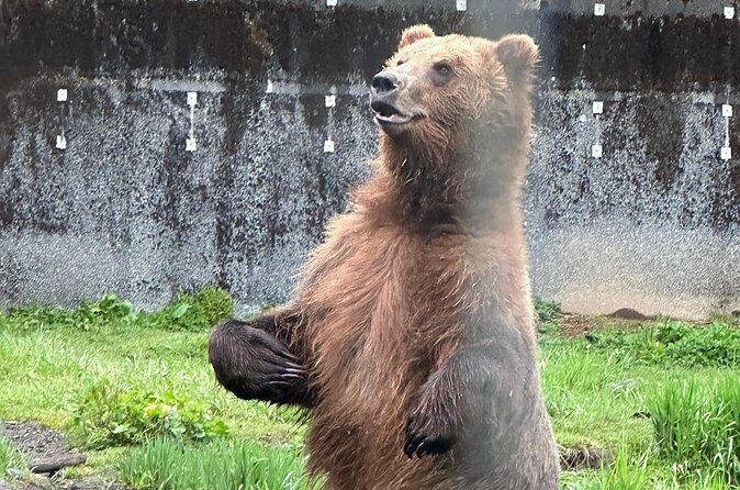 Sitka Scenic Private Tour - Why This Tour Offers Great Value