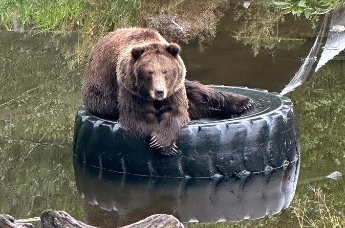 Sitka Scenic Private Tour - Frequently Asked Questions