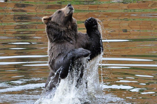 Sitka Scenic Tour - FAQ