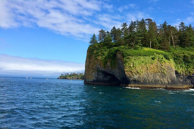 Sitka Sea Birds & Marine Life Private Charter Scenic Eco-Tour - A Close-Up Tour of Sitka’s Seabirds and Marine Life: What You Need to Know