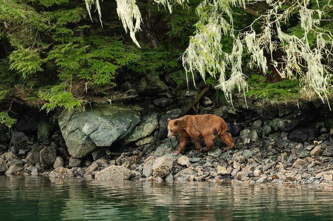 Sitka Whale Watch and Sea Otter Quest - Frequently Asked Questions