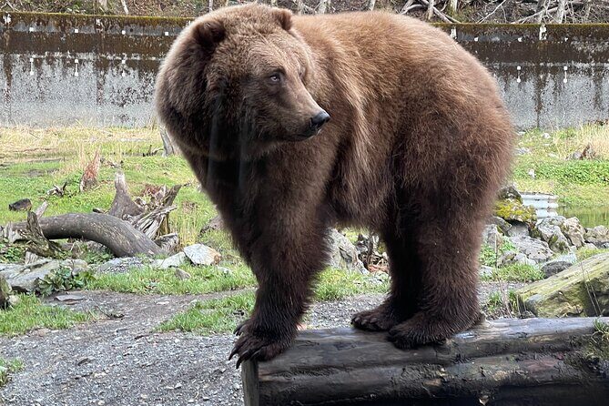 Sitka's Favorite Sites Private Land Tour for 6 (Meal option avail - Why This Tour Is a Great Choice