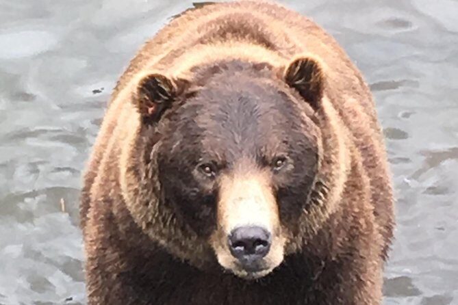 Sitka's only Private Simply Amazing Tour - Who Would Love This Tour?