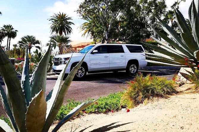 SJD Airport to Cabo San Lucas - One way service - Who Will Love This Service?