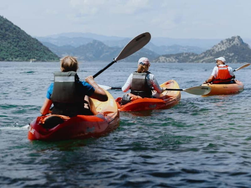 Skadar Lake: 4-Hour Guided tours on Kayak - Experience the Quiet Beauty of Skadar Lake on a 4-Hour Guided Kayak Tour