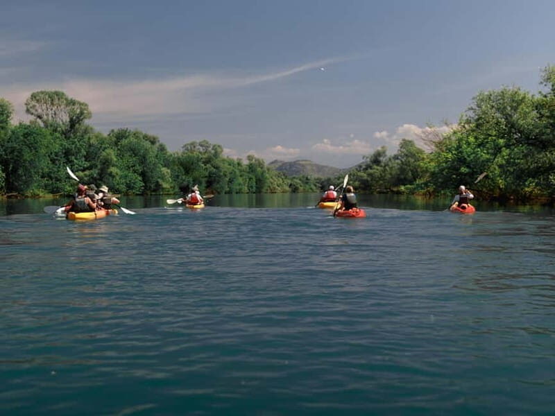 Skadar Lake: 4-Hour Guided tours on Kayak - The Itinerary: A Well-Structured Balance of Exploration