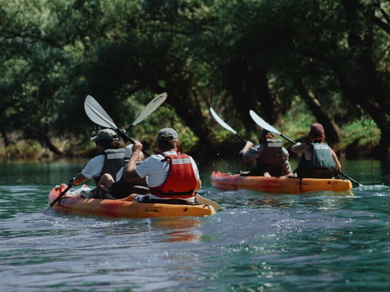 Skadar Lake: 4-Hour Guided tours on Kayak - Wildlife and Natural Beauty: What Makes Skadar Lake Special