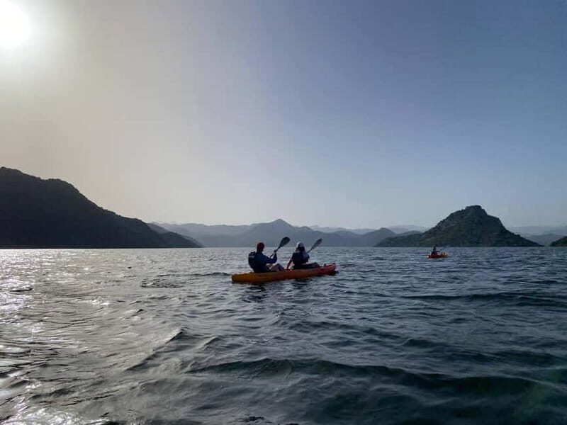 Skadar Lake: 4-Hour Guided tours on Kayak - The Practical Side: Equipment, Safety, and Inclusions