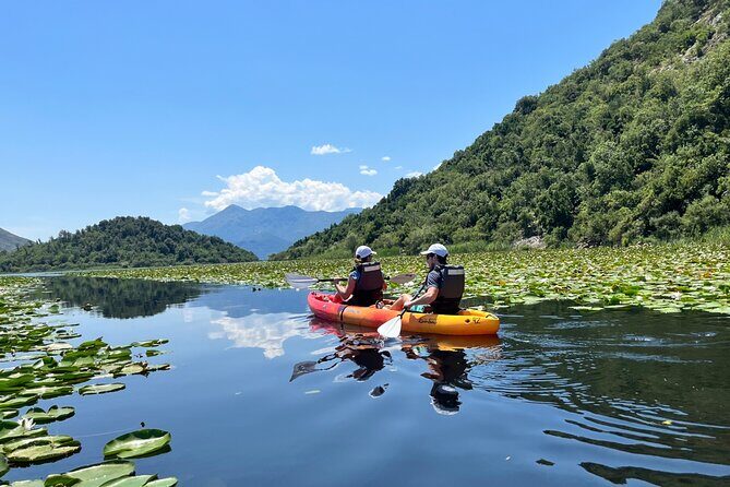 Skadar Lake: 4-Hour Guided tours on Kayak - The Sum Up: Why This Tour Is a Great Choice