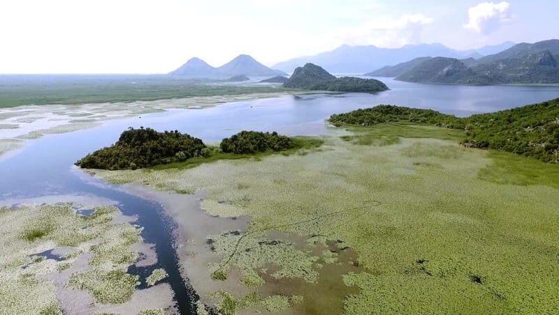 SKADAR LAKE: A national park with amazing flora and fauna! - An Authentic Journey into Montenegro’s Natural Marvel