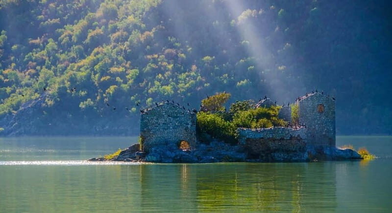 Skadar Lake Boat Tour with Transfer from Podgorica - A Deep Dive into the Skadar Lake Boat Tour
