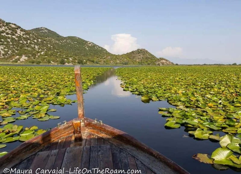 Skadar Lake Boat Tour with Transfer from Podgorica - Final Thoughts: Is This Tour Worth It?
