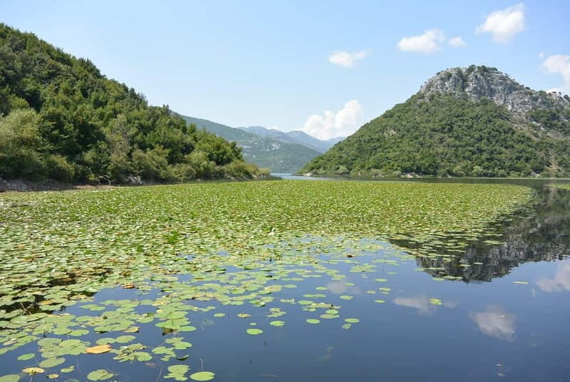 Skadar Lake full-day tour from Kotor - Who Should Consider This Tour?