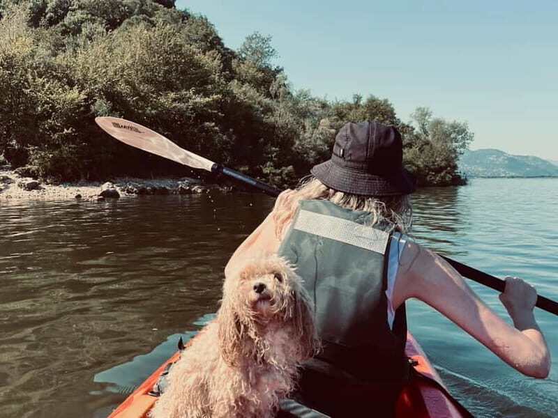 Skadar Lake: Kayak & Paddle board Rental - Final Words