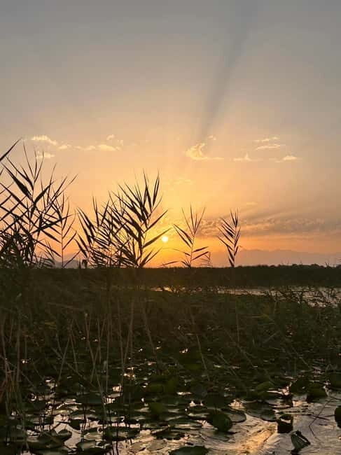 Skadar Lake Private Boat Tour with Wine Tasting - FAQs about the Skadar Lake Private Boat Tour