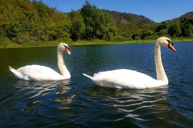 Skadar Lake & Virpazar return trip from Podgorica city - Detailed Itinerary Breakdown