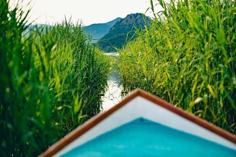 Skadar Lake Virpazar : Speed Boat Special ! - A Closer Look at the Skadar Lake Speed Boat Tour