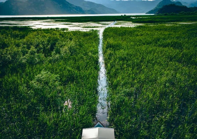 Skadar Lake Virpazar : Speed Boat Special ! - Who Will Love This Tour?