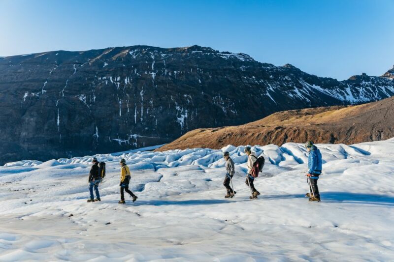 Skaftafell: Falljokull Glacier Easy Group Hike - Key Points