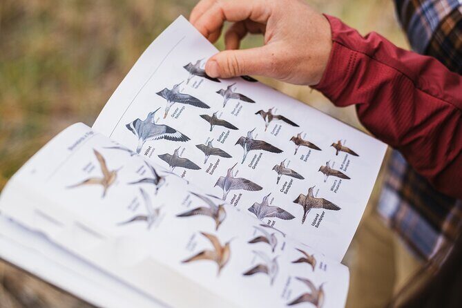 Skagit Valley Birding + Deception Pass Day Tour From Seattle - Unlocking the Best of the Pacific Northwest: Skagit Valley Birding + Deception Pass Day Tour