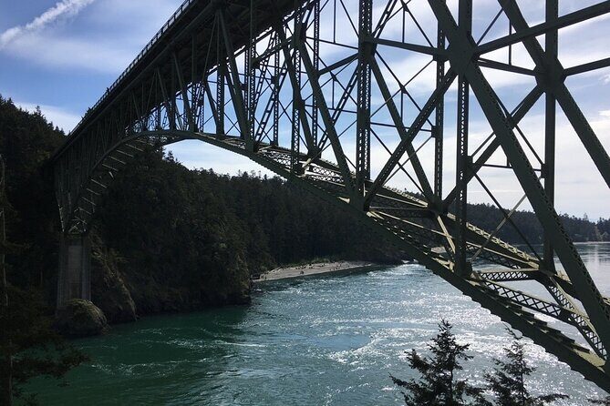 Skagit Valley Birding + Deception Pass Day Tour From Seattle - The Value in the Details